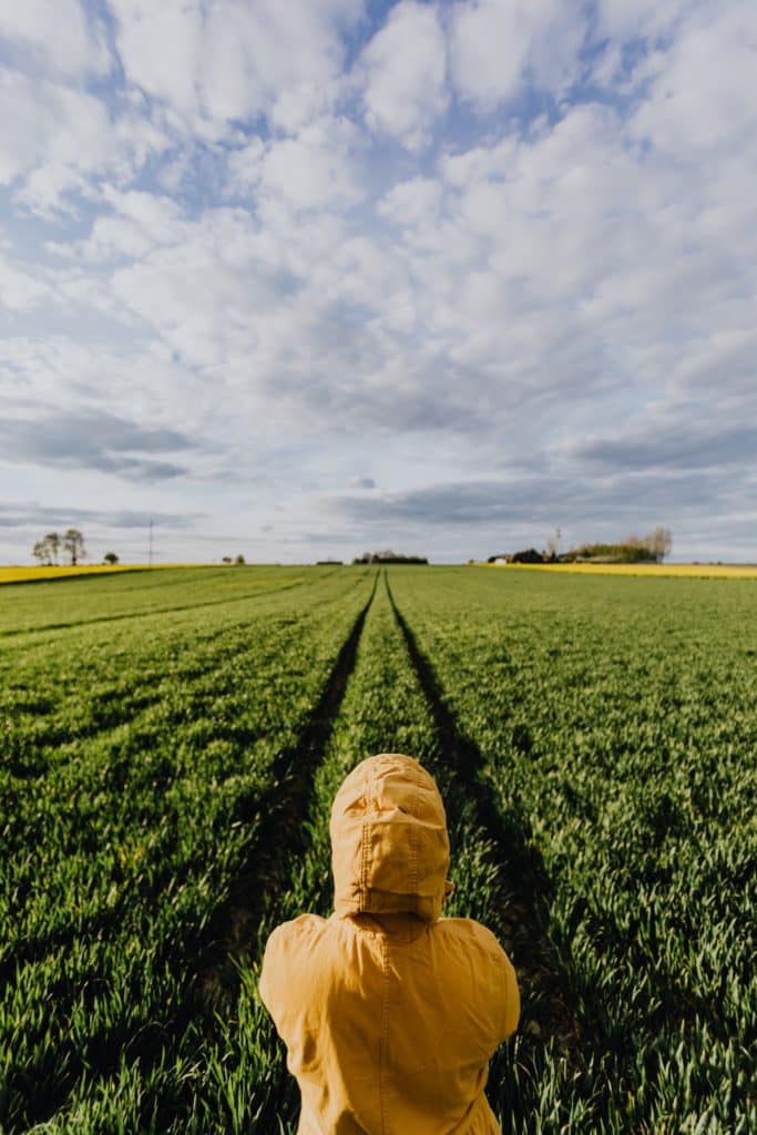 woman looking at a field